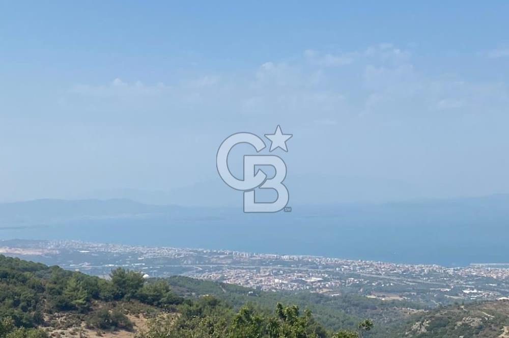Güzelbahçe Yaka'da Doğayla İç İçe 3749 m² Değerli Satılık Zeytinlik