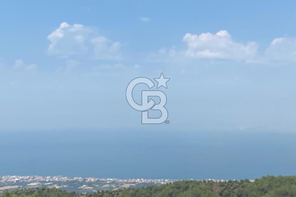 Güzelbahçe Yaka'da Doğayla İç İçe 3749 m² Değerli Satılık Zeytinlik