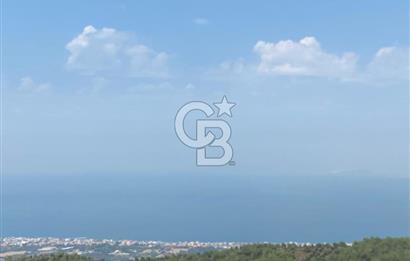 Güzelbahçe Yaka'da Doğayla İç İçe 3749 m² Değerli Satılık Zeytinlik