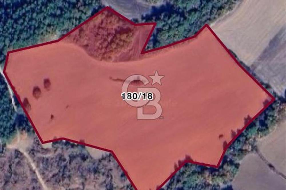 EDİRNE KEŞAN ÇAMLICADA YATIRIM DEĞERİ YÜKSEK ARAZİ