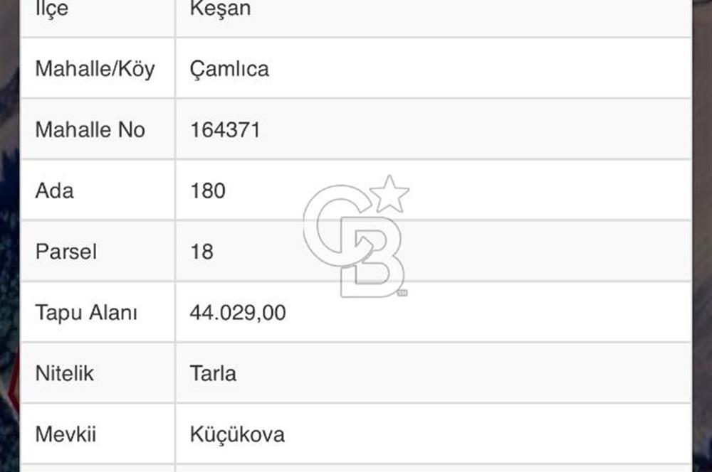 EDİRNE KEŞAN ÇAMLICADA YATIRIM DEĞERİ YÜKSEK ARAZİ