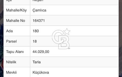 EDİRNE KEŞAN ÇAMLICADA YATIRIM DEĞERİ YÜKSEK ARAZİ