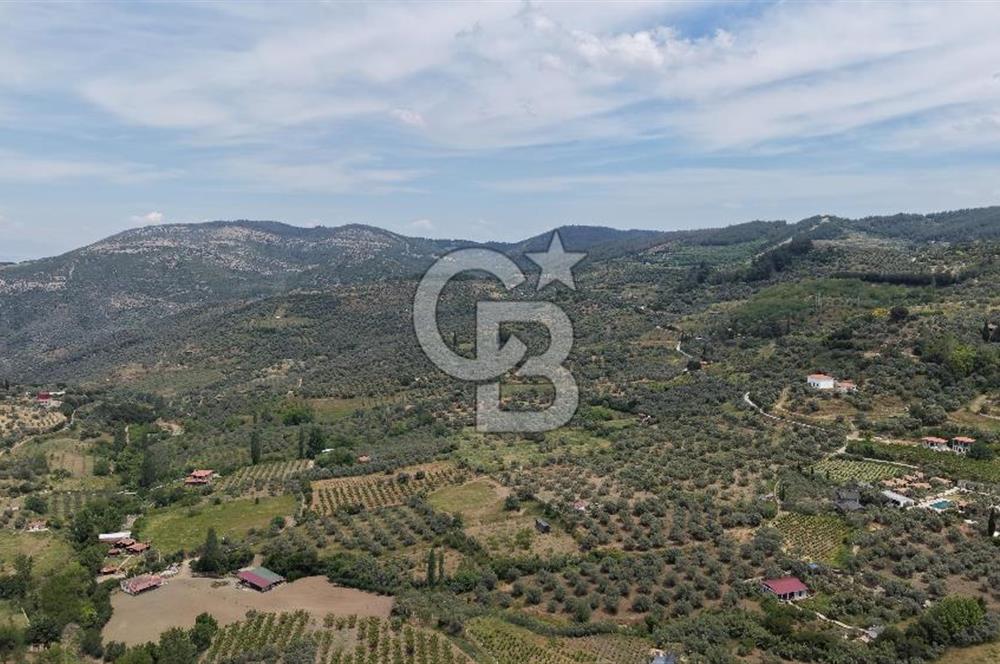 Selçuk Şirince Köy İçi Eşyalı Kiralık Taş Ev