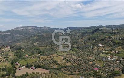 Selçuk Şirince Köy İçi Eşyalı Kiralık Taş Ev