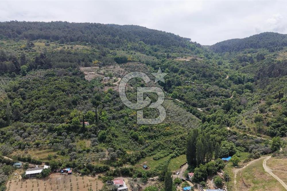 Selçuk Şirince Köy İçi Eşyalı Kiralık Taş Ev