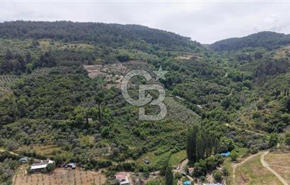 Selçuk Şirince Köy İçi Eşyalı Kiralık Taş Ev