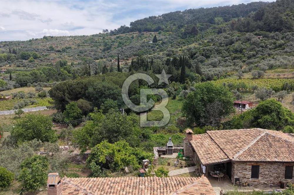 Selçuk Şirince Köy İçi Eşyalı Kiralık Taş Ev
