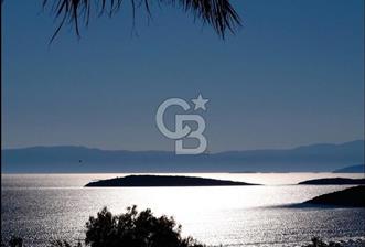 ÇEŞME ILICA’DA 338 M² KOOPERATİF HİSSESİ | İMAR SÜRECİNDE YATIRIM FIRSATI - 1 - 376680