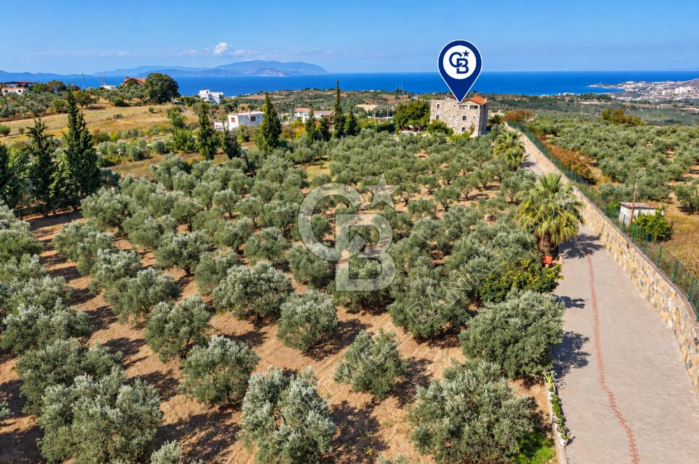 Kuşadası Yaylaköy’de Full Deniz Manzaralı, Zeytinlik İçerisinde Satılık Özel Malikane