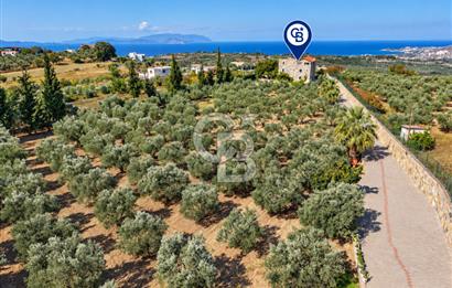 Kuşadası Yaylaköy’de Full Deniz Manzaralı, Zeytinlik İçerisinde Satılık Özel Malikane