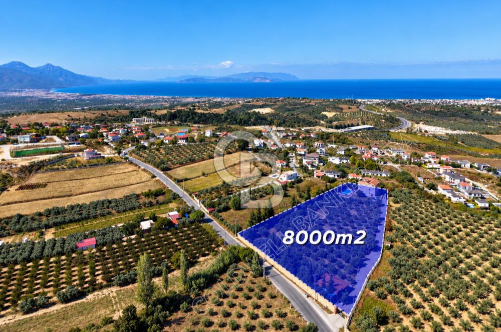 Kuşadası Yaylaköy’de Full Deniz Manzaralı, Zeytinlik İçerisinde Satılık Özel Malikane