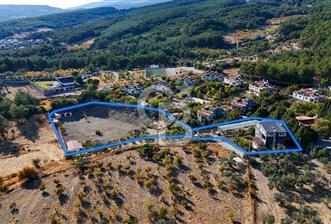 8200 M2 ARAZİ İÇİNDE SATILIK MÜSTAKİL YAŞAM - 1 - 376727