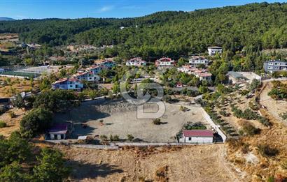 8200 M2 ARAZİ İÇİNDE SATILIK MÜSTAKİL YAŞAM