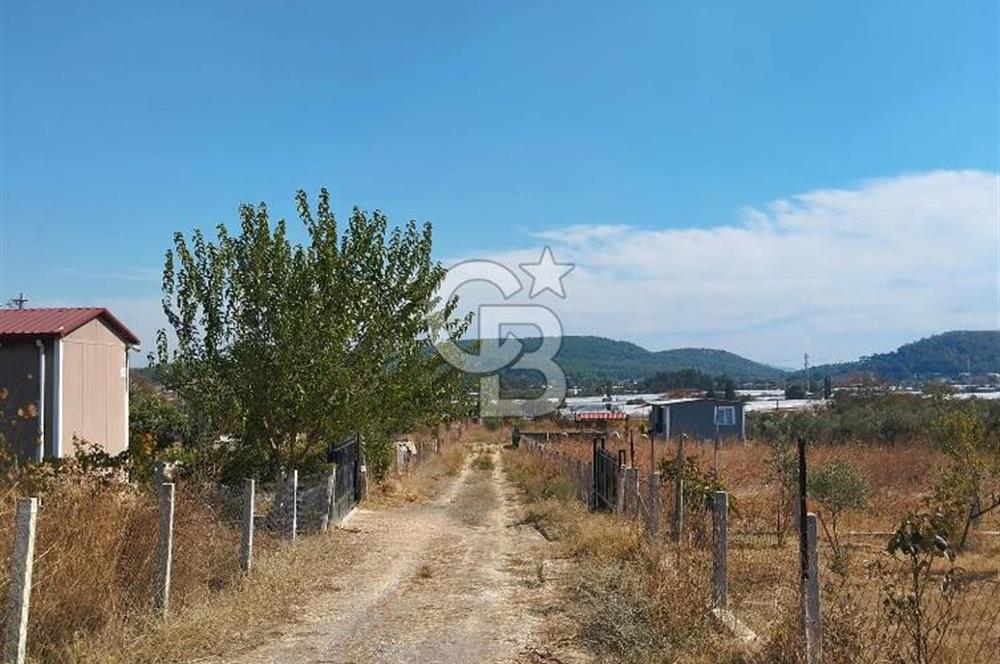 MENDERES DEĞİRMENDERE'DE 522 M² DOĞAYLA İÇ İÇE HOBİ BAHÇESİ