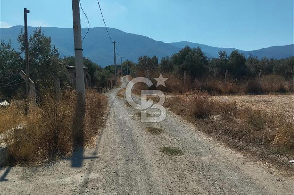MENDERES DEĞİRMENDERE'DE 522 M² DOĞAYLA İÇ İÇE HOBİ BAHÇESİ