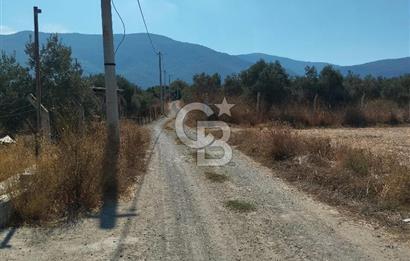 MENDERES DEĞİRMENDERE'DE 522 M² DOĞAYLA İÇ İÇE HOBİ BAHÇESİ