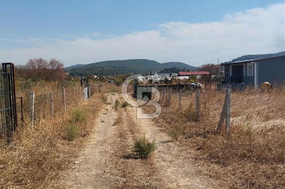 MENDERES DEĞİRMENDERE'DE 522 M² DOĞAYLA İÇ İÇE HOBİ BAHÇESİ