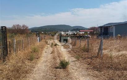 MENDERES DEĞİRMENDERE'DE 522 M² DOĞAYLA İÇ İÇE HOBİ BAHÇESİ