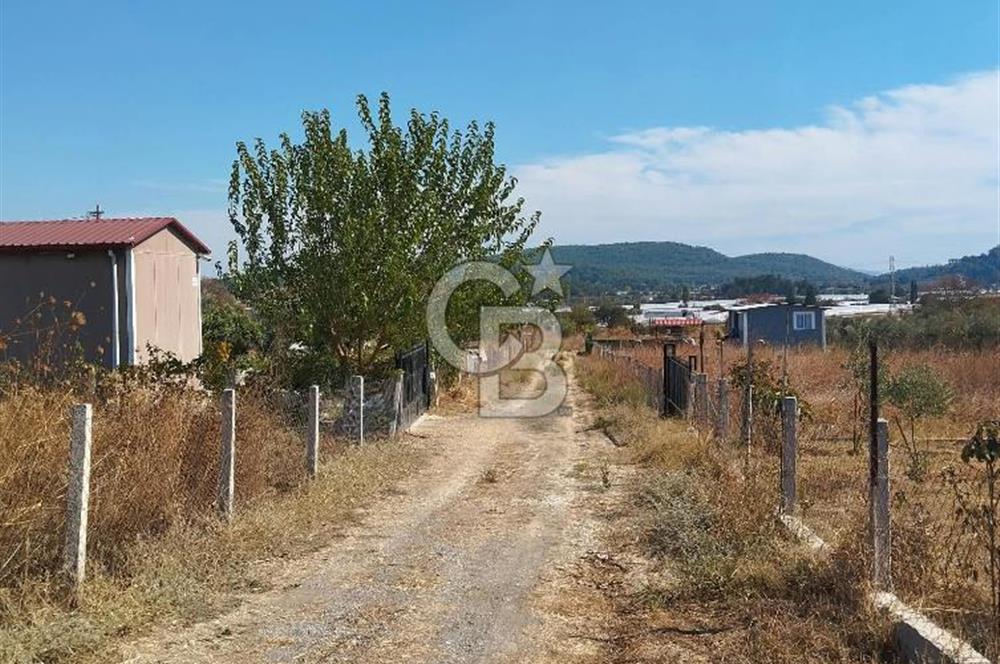 MENDERES DEĞİRMENDERE'DE 522 M² DOĞAYLA İÇ İÇE HOBİ BAHÇESİ