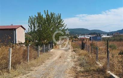 MENDERES DEĞİRMENDERE'DE 522 M² DOĞAYLA İÇ İÇE HOBİ BAHÇESİ