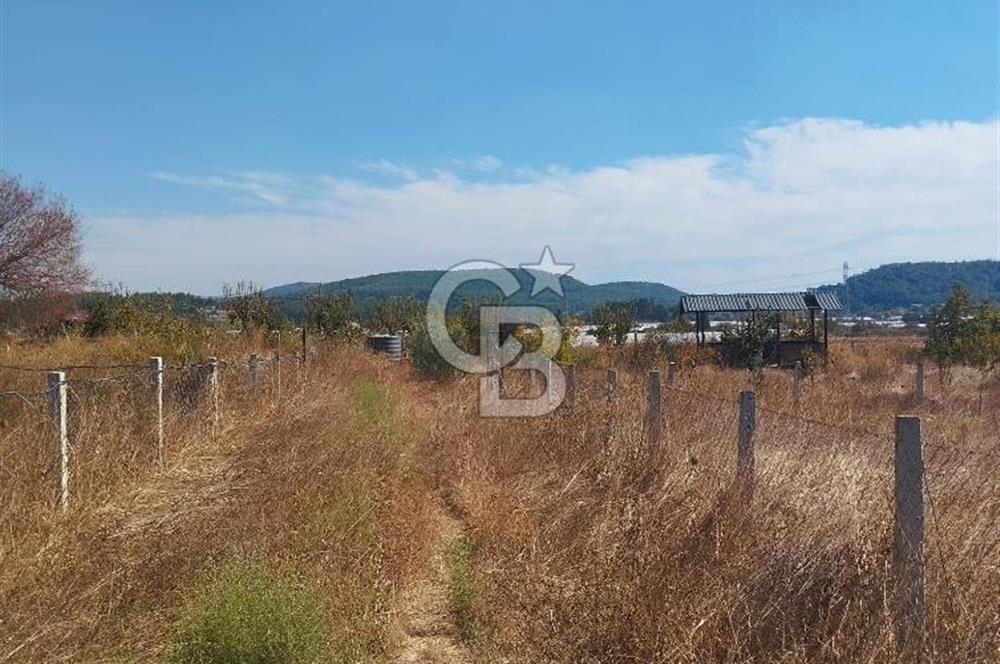 MENDERES DEĞİRMENDERE'DE 522 M² DOĞAYLA İÇ İÇE HOBİ BAHÇESİ