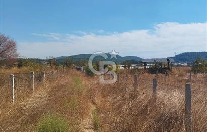 MENDERES DEĞİRMENDERE'DE 522 M² DOĞAYLA İÇ İÇE HOBİ BAHÇESİ