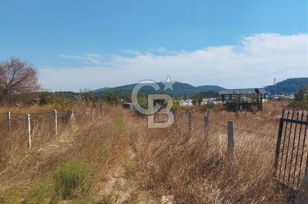 MENDERES DEĞİRMENDERE'DE 522 M² DOĞAYLA İÇ İÇE HOBİ BAHÇESİ
