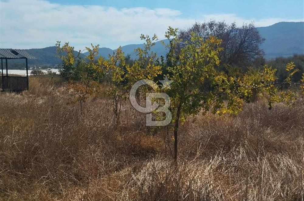 MENDERES DEĞİRMENDERE'DE 522 M² DOĞAYLA İÇ İÇE HOBİ BAHÇESİ