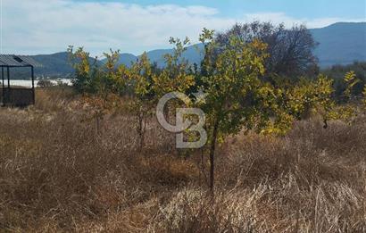 MENDERES DEĞİRMENDERE'DE 522 M² DOĞAYLA İÇ İÇE HOBİ BAHÇESİ