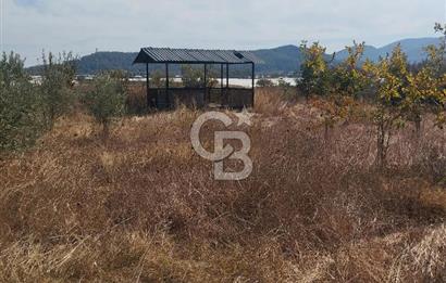 MENDERES DEĞİRMENDERE'DE 522 M² DOĞAYLA İÇ İÇE HOBİ BAHÇESİ