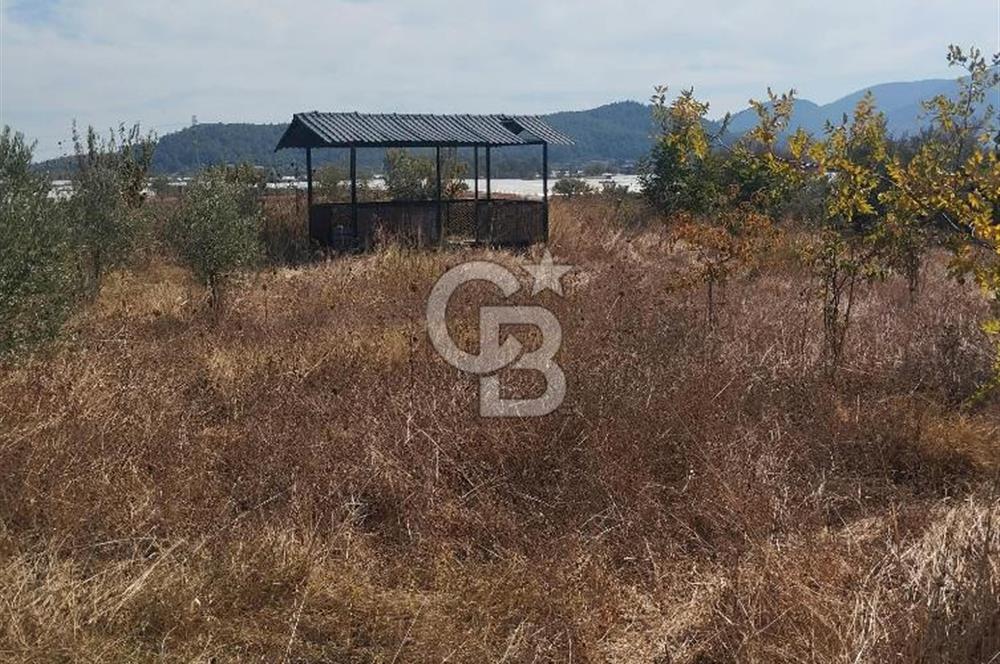 MENDERES DEĞİRMENDERE'DE 522 M² DOĞAYLA İÇ İÇE HOBİ BAHÇESİ