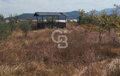 MENDERES DEĞİRMENDERE'DE 522 M² DOĞAYLA İÇ İÇE HOBİ BAHÇESİ