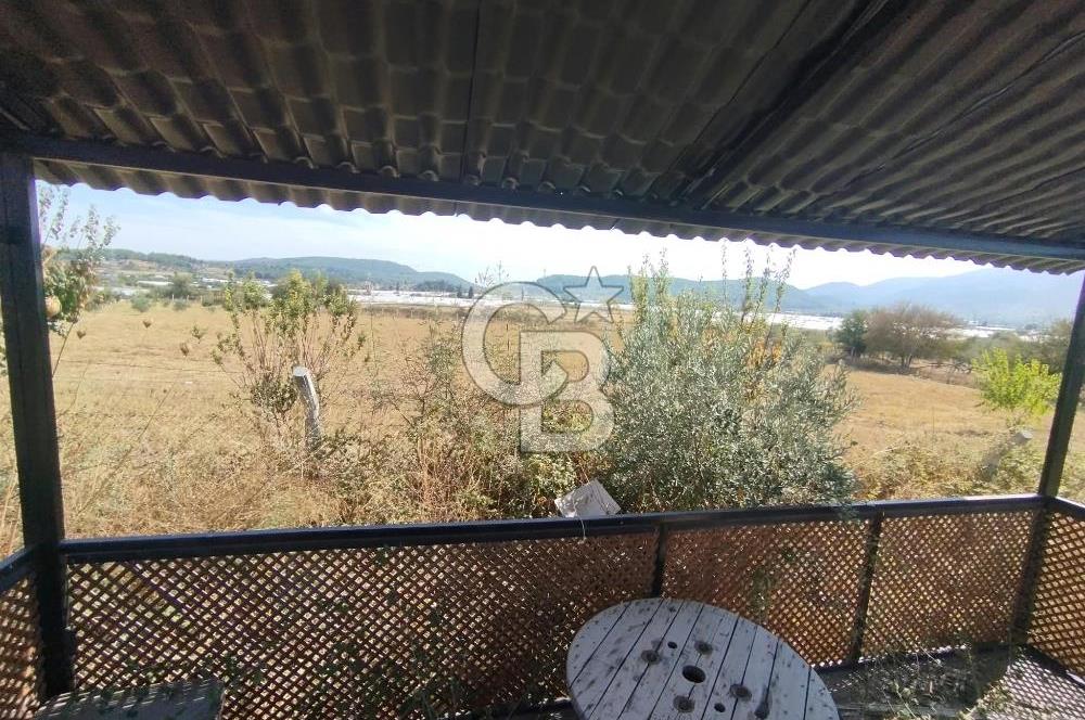 MENDERES DEĞİRMENDERE'DE 522 M² DOĞAYLA İÇ İÇE HOBİ BAHÇESİ
