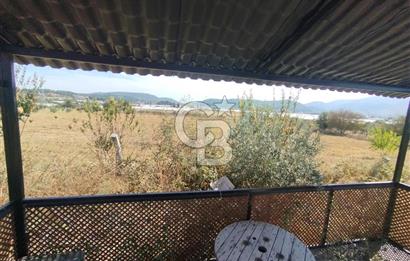 MENDERES DEĞİRMENDERE'DE 522 M² DOĞAYLA İÇ İÇE HOBİ BAHÇESİ