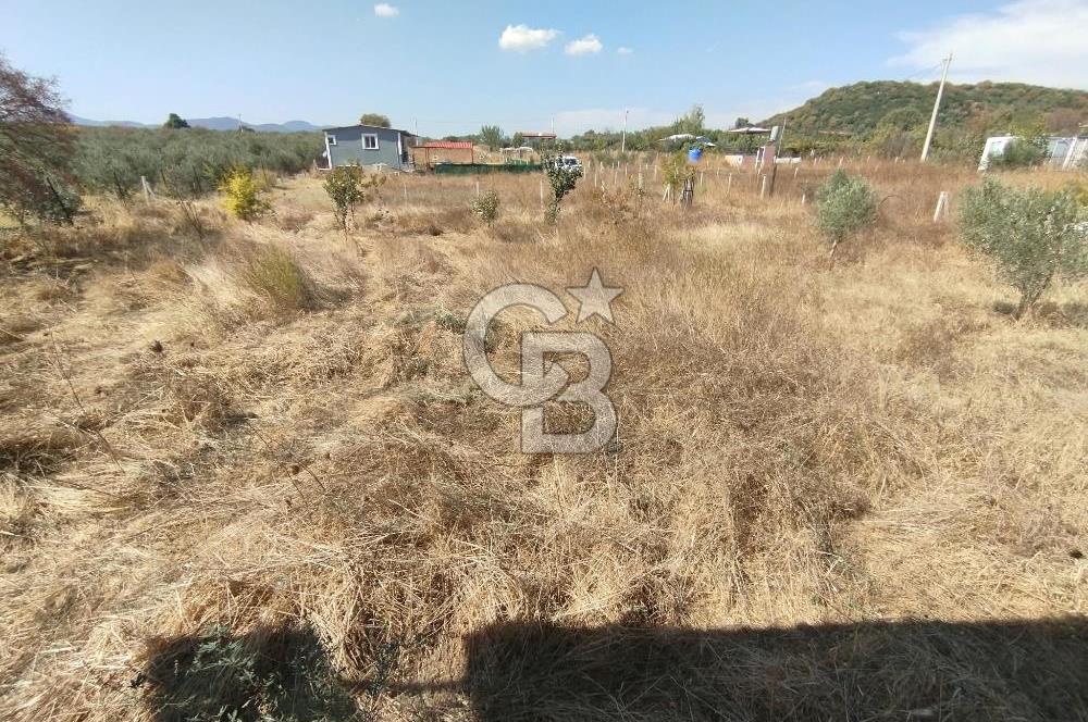 MENDERES DEĞİRMENDERE'DE 522 M² DOĞAYLA İÇ İÇE HOBİ BAHÇESİ