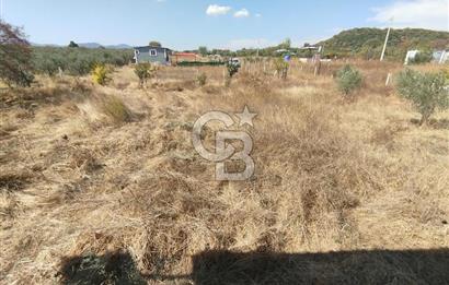 MENDERES DEĞİRMENDERE'DE 522 M² DOĞAYLA İÇ İÇE HOBİ BAHÇESİ