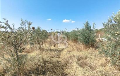 MENDERES DEĞİRMENDERE'DE 522 M² DOĞAYLA İÇ İÇE HOBİ BAHÇESİ