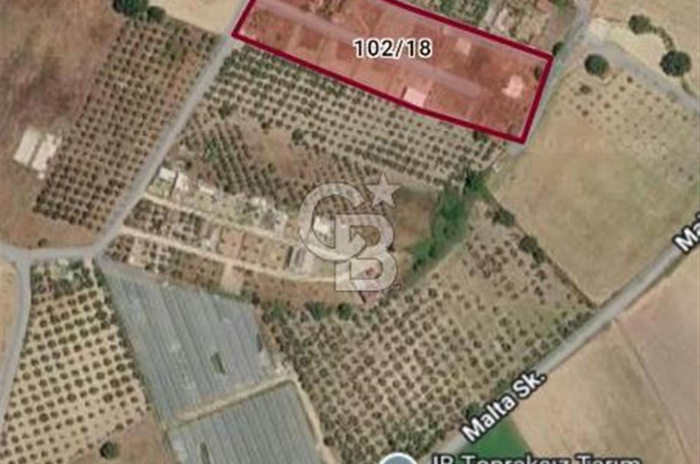 MENDERES DEĞİRMENDERE'DE 522 M² DOĞAYLA İÇ İÇE HOBİ BAHÇESİ
