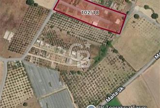 MENDERES DEĞİRMENDERE'DE 522 M² DOĞAYLA İÇ İÇE HOBİ BAHÇESİ - 1 - 376705