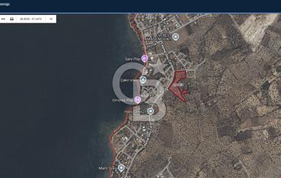 Cb Odak'tan Şakranda İmar Sınırında 1832 m2 Zeytinli Tarla