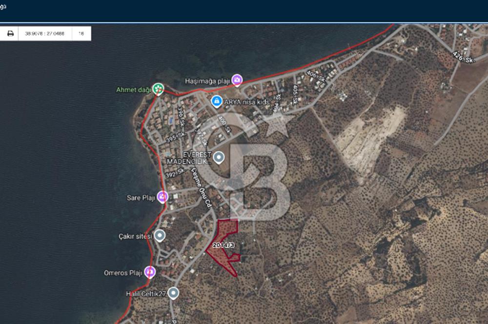 Cb Odak'tan Şakranda İmar Sınırında 1832 m2 Zeytinli Tarla