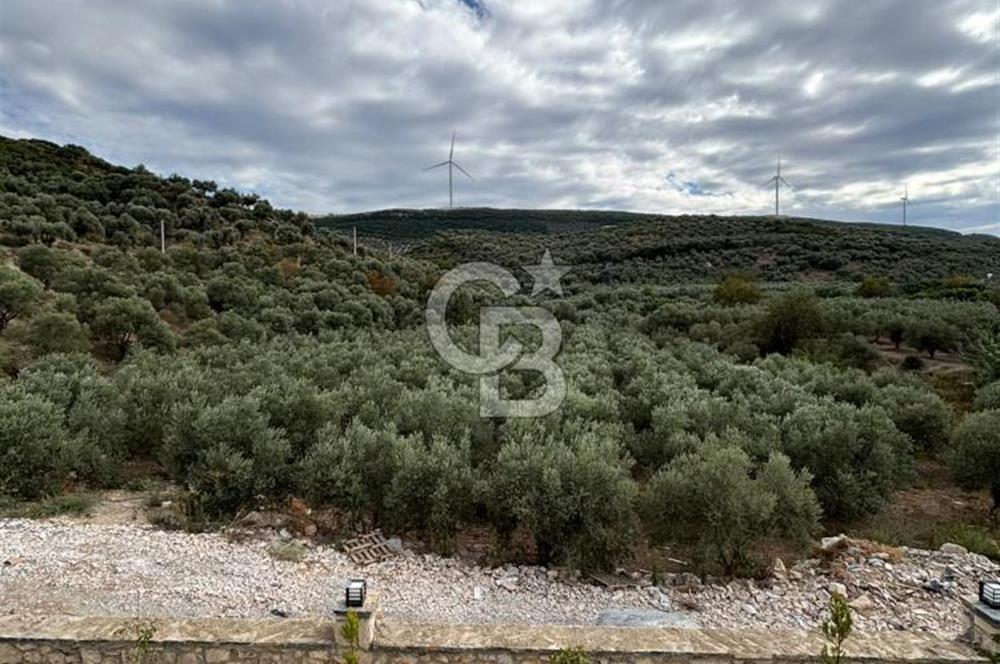 Aydın Didim Ak-Yeniköy’de, Site İçerisinde 1+1 Satılık Daire