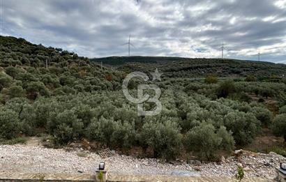 Aydın Didim Ak-Yeniköy’de, Site İçerisinde 1+1 Satılık Daire