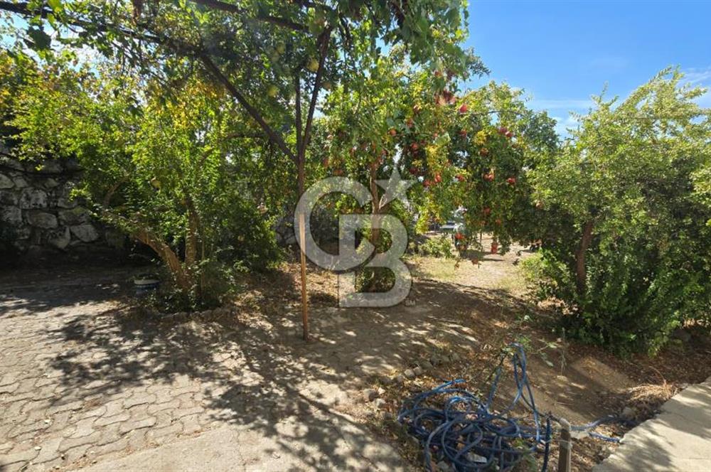 Örnekkent'te 2+1 Zemin Kat Bahçeli Kiralık Daire