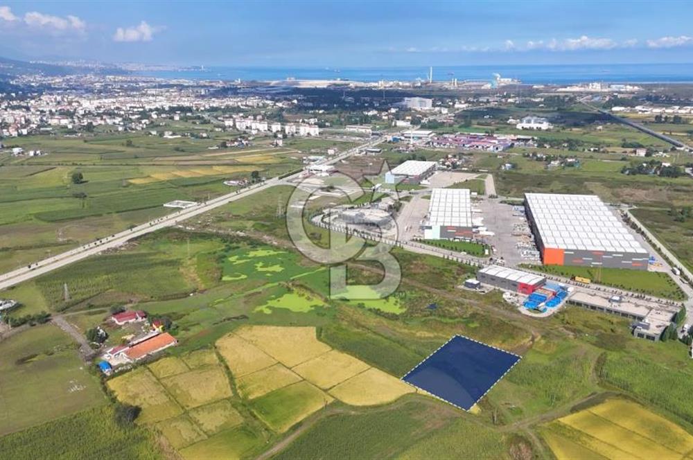 Samsun Tekkeköy Aşağıçınık’te Ticari İmarlı Arsa