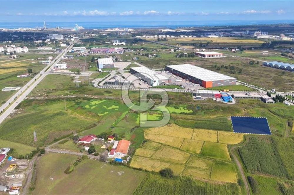 Samsun Tekkeköy Aşağıçınık’te Ticari İmarlı Arsa