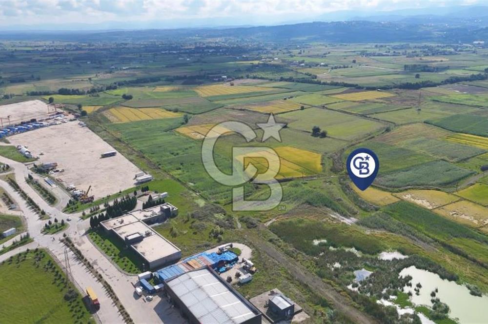 Samsun Tekkeköy Aşağıçınık’te Ticari İmarlı Arsa
