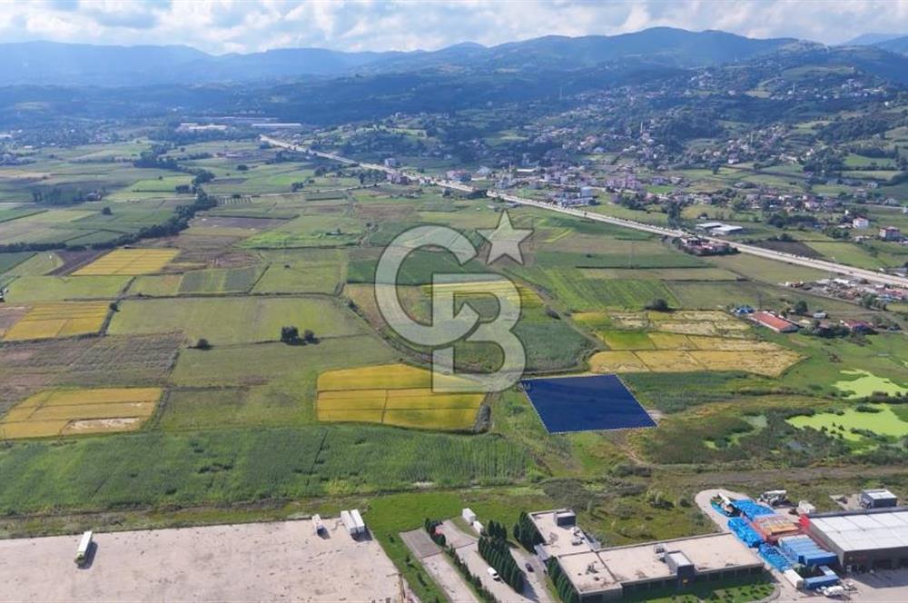 Samsun Tekkeköy Aşağıçınık’te Ticari İmarlı Arsa