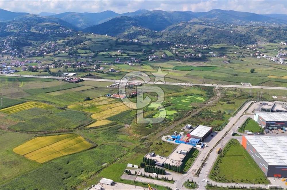 Samsun Tekkeköy Aşağıçınık’te Ticari İmarlı Arsa