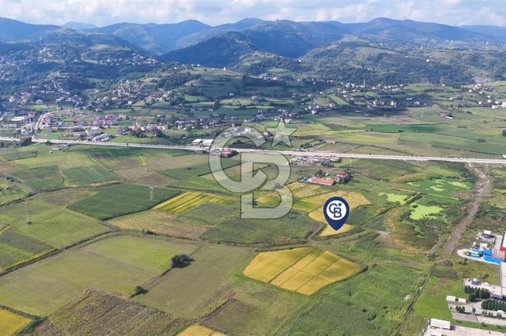 Samsun Tekkeköy Aşağıçınık’te Ticari İmarlı Arsa